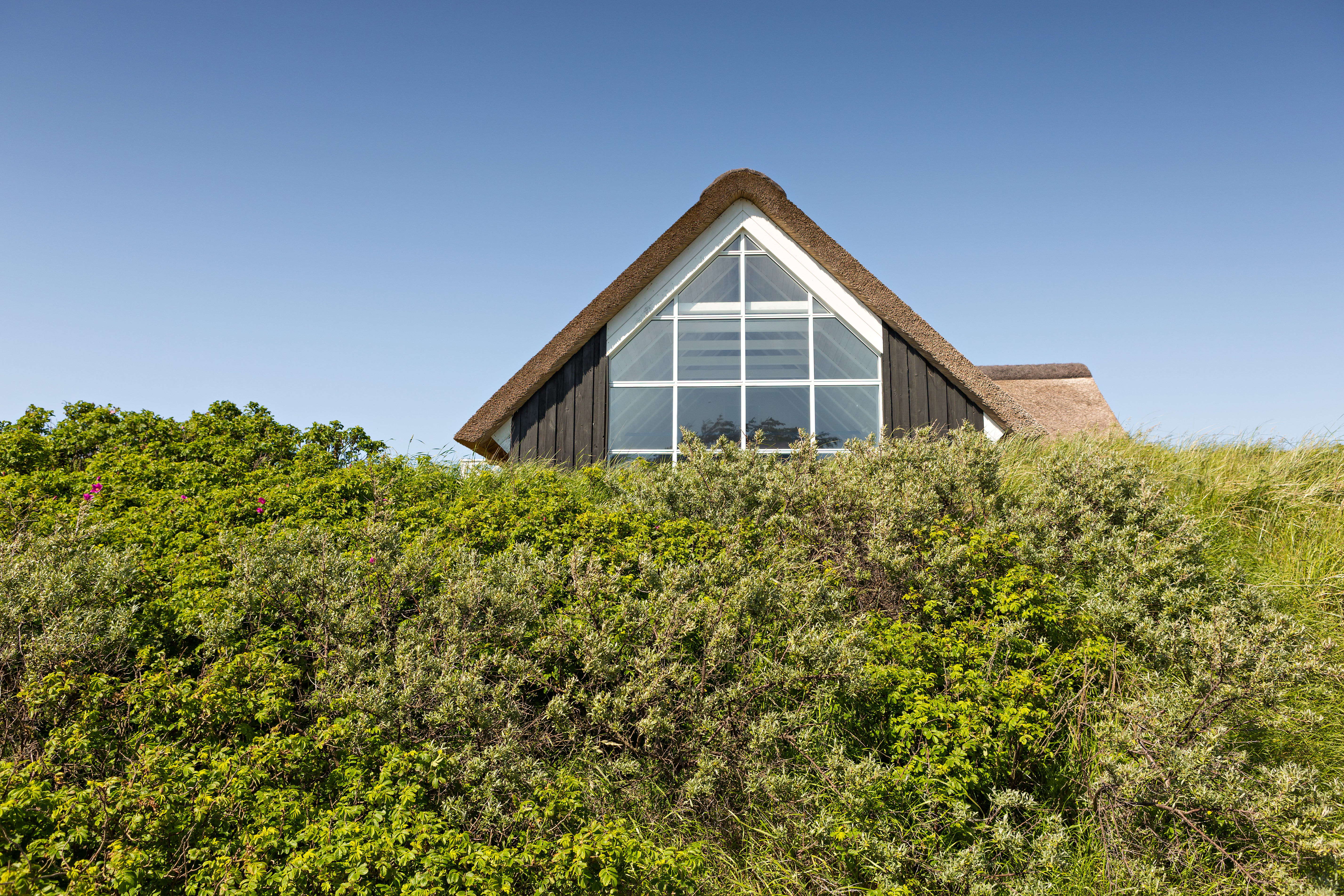 Sommerhus Blokhus